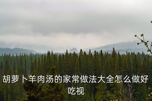 胡蘿卜羊肉湯的家常做法大全怎么做好吃視