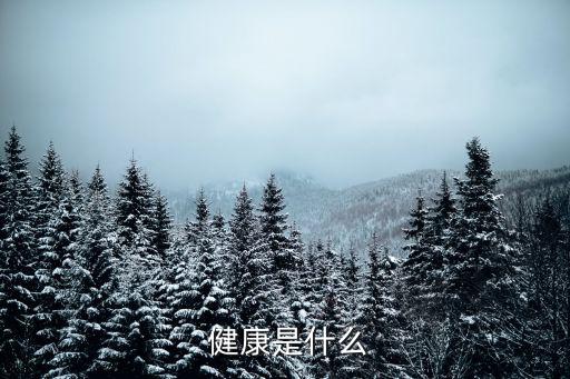  健康是什么