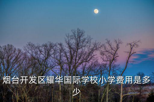 煙臺(tái)開(kāi)發(fā)區(qū)耀華國(guó)際學(xué)校小學(xué)費(fèi)用是多少