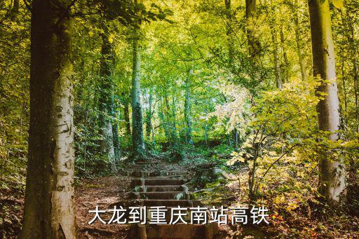 大龍到重慶南站高鐵