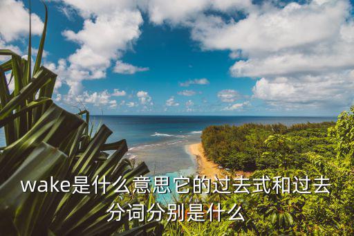 wake是什么意思它的過去式和過去分詞分別是什么
