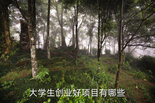 大學生創業好項目有哪些