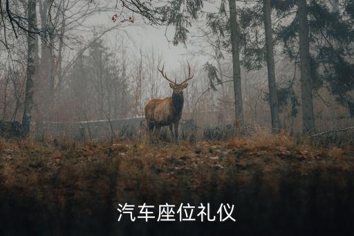 汽車座位禮儀