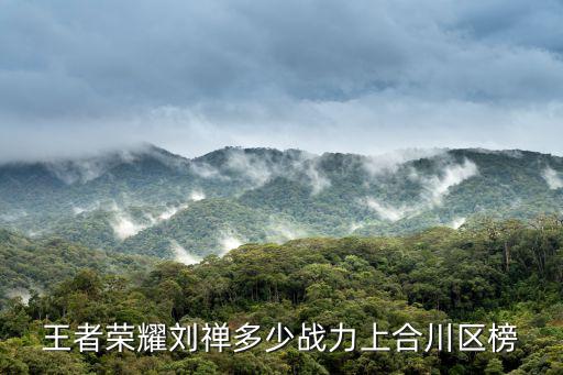 重慶市合川區英雄，重慶合川區理科狀元