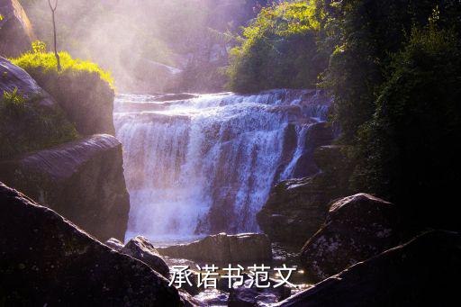  承諾書范文