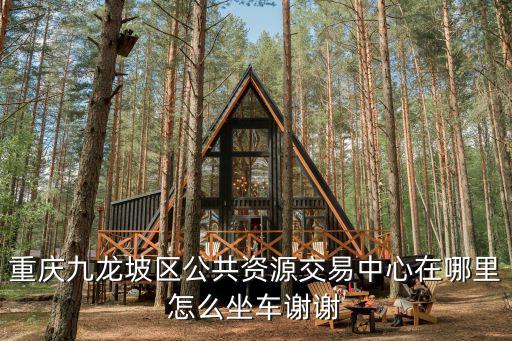 重慶九龍坡區公共資源交易中心在哪里怎么坐車謝謝