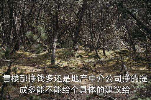 售樓部掙錢多還是地產中介公司掙的提成多能不能給個具體的建議給