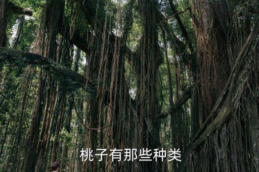  桃子有那些種類