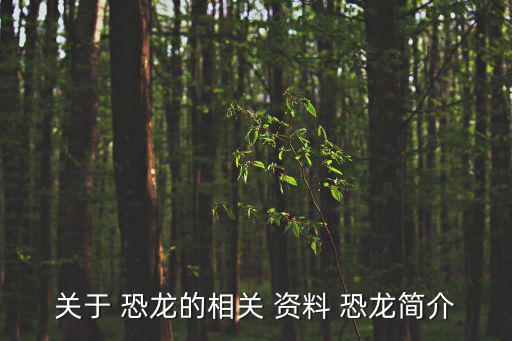 關于 恐龍的相關 資料 恐龍簡介
