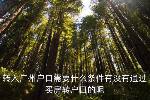 轉入廣州戶口需要什么條件有沒有通過買房轉戶口的呢
