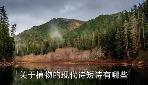 現代詩短篇,第二集:我的蓮花心永遠都在