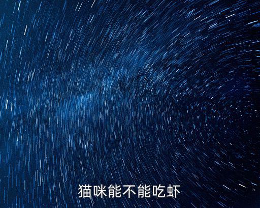 貓咪能不能吃蝦