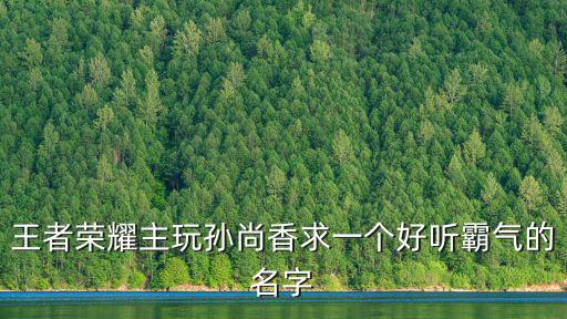 王者榮耀主玩孫尚香求一個好聽霸氣的名字