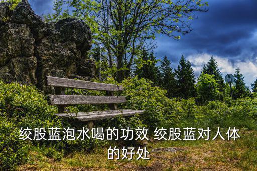  絞股藍(lán)泡水喝的功效 絞股藍(lán)對(duì)人體的好處