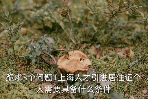 跪求3個問題1上海人才引進居住證個人需要具備什么條件