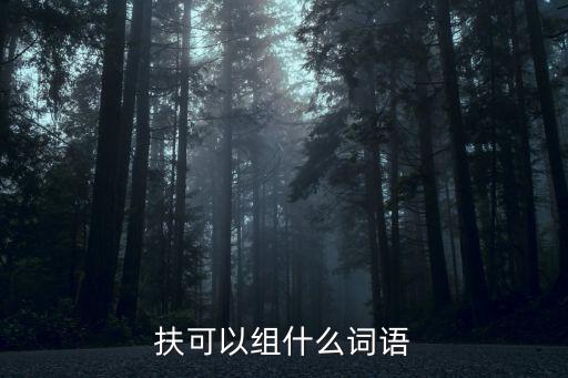 扶可以組什么詞語