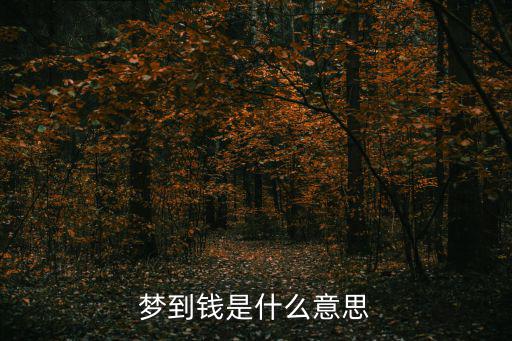 夢到錢是什么意思