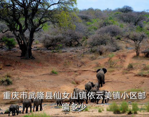重慶市武隆縣仙女山鎮依云美鎮小區郵編多少