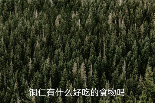 銅仁有什么好吃的食物嗎