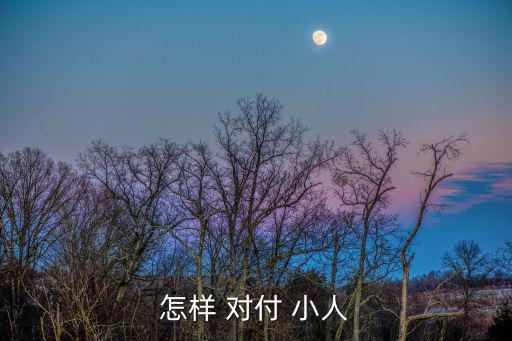 怎樣 對(duì)付 小人