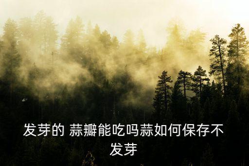  發(fā)芽的 蒜瓣能吃嗎蒜如何保存不 發(fā)芽