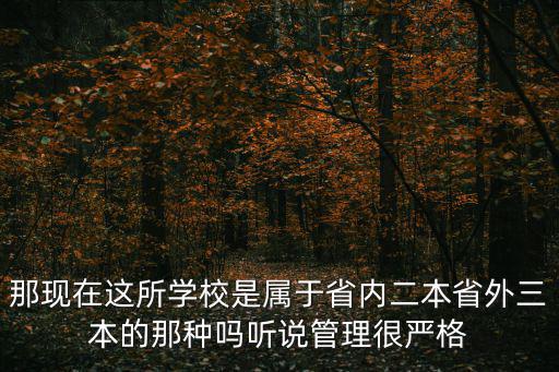 那現在這所學校是屬于省內二本省外三本的那種嗎聽說管理很嚴格