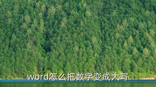 word怎么把數字變成大寫