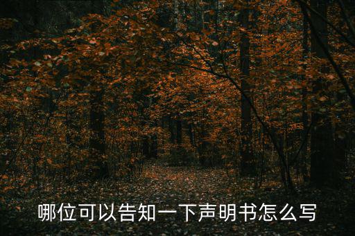 哪位可以告知一下聲明書怎么寫