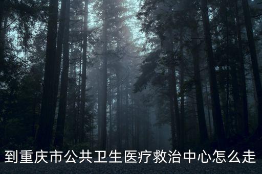 到重慶市公共衛(wèi)生醫(yī)療救治中心怎么走