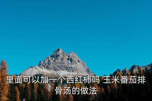 里面可以加一個西紅柿嗎 玉米番茄排骨湯的做法
