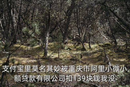 支付寶里莫名其妙被重慶市阿里小微小額貸款有限公司扣139塊錢我沒