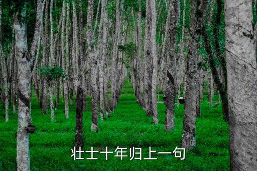 壯士十年歸上一句