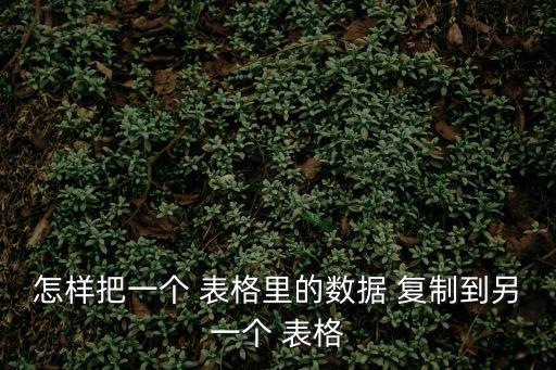 怎樣把一個 表格里的數據 復制到另一個 表格