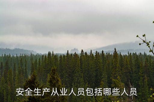 安全生產從業人員包括哪些人員