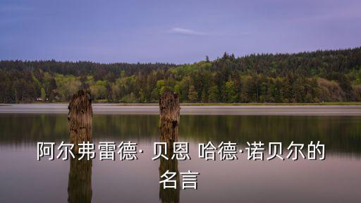 貝恩哈德,諾貝爾化學家、發明家、炸藥發明者