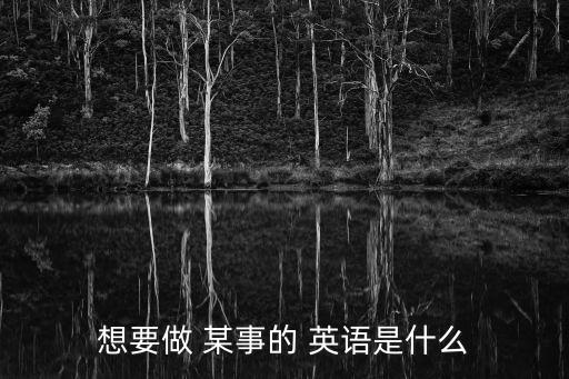 想要做 某事的 英語是什么