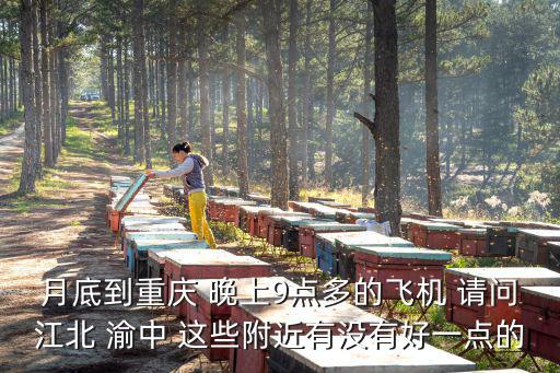 月底到重慶 晚上9點多的飛機 請問江北 渝中 這些附近有沒有好一點的
