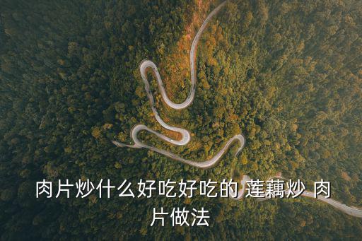  肉片炒什么好吃好吃的 蓮藕炒 肉片做法