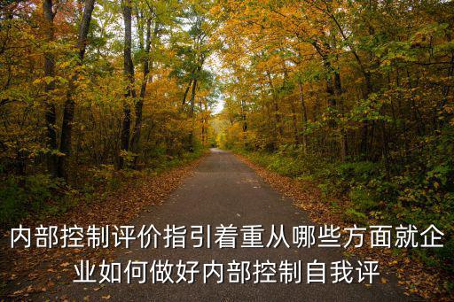 內部控制評價指引著重從哪些方面就企業如何做好內部控制自我評