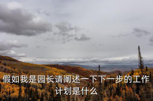 假如我是園長(zhǎng)請(qǐng)闡述一下下一步的工作計(jì)劃是什么