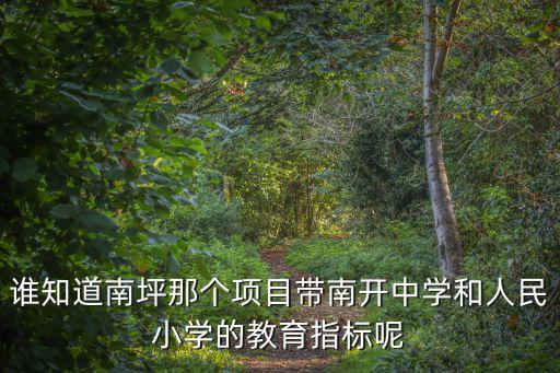 誰知道南坪那個項(xiàng)目帶南開中學(xué)和人民小學(xué)的教育指標(biāo)呢