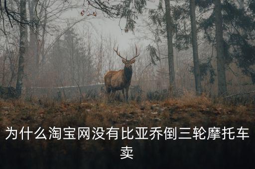 比亞喬倒三輪重慶市銷售官網，比亞喬500倒三輪摩托車配音響嗎