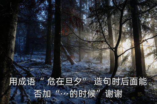 用成語“ 危在旦夕” 造句時后面能否加“···的時候”謝謝