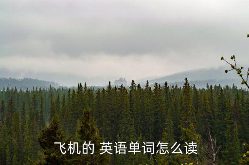  飛機的 英語單詞怎么讀