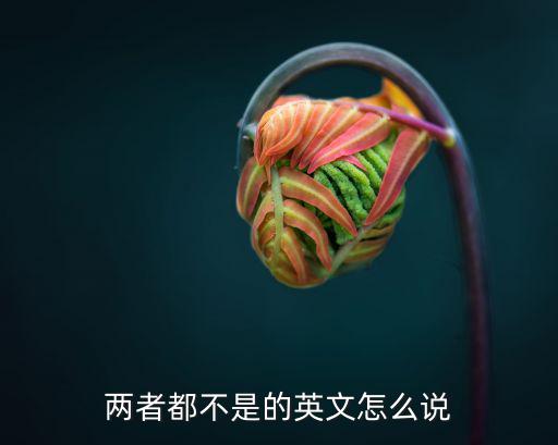 兩者都不的英語，兩者都不是的英文怎么說
