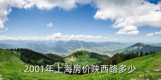 2001年上海房?jī)r(jià)陜西路多少