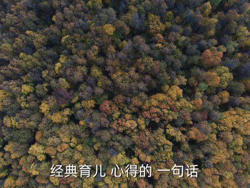 心得體會一句話,一句話概括整個軍訓生活