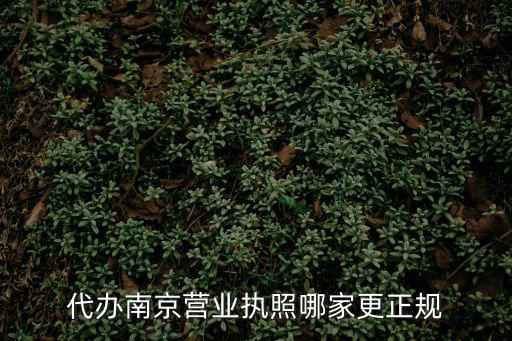 南京代辦公司營業執照機構，南京公司注冊那個代理公司好
