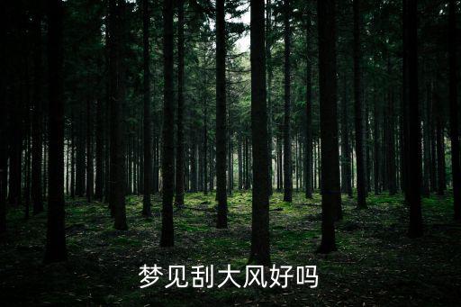 夢見刮大風好嗎
