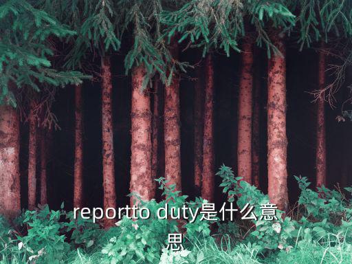 reportto duty是什么意思